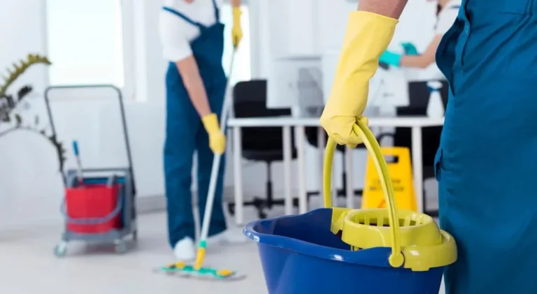 Regular Domestic Cleaning